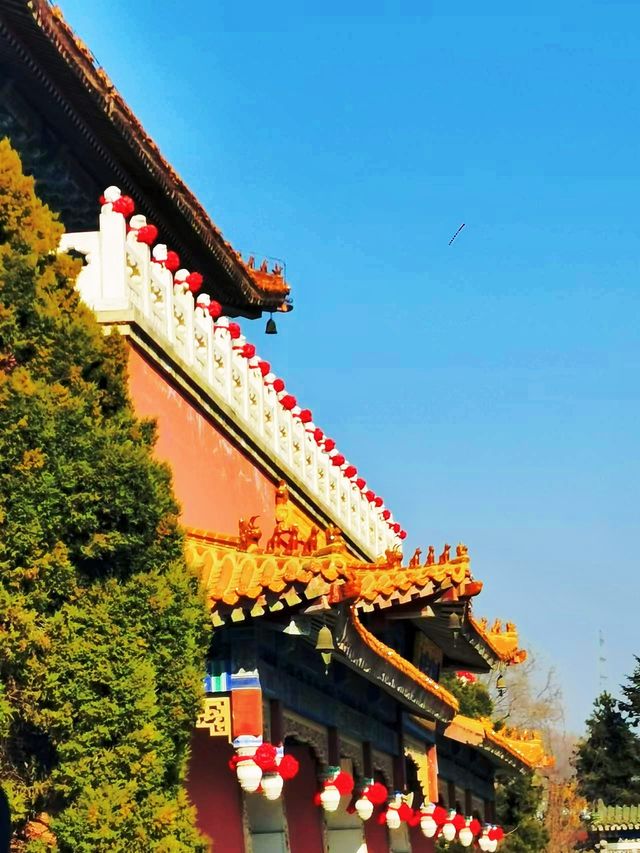 鞍山玉佛苑‖佛教祈願聖地
