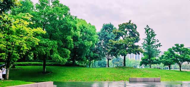 閔行文化公園｜梅雨瀟瀟瀝瀝，公園鬱鬱蔥蔥