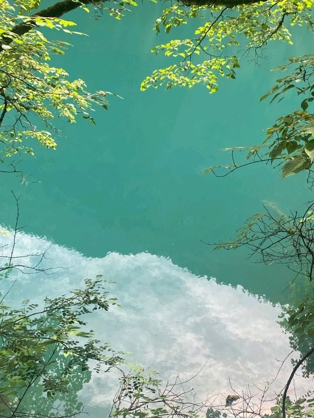 水景之王！