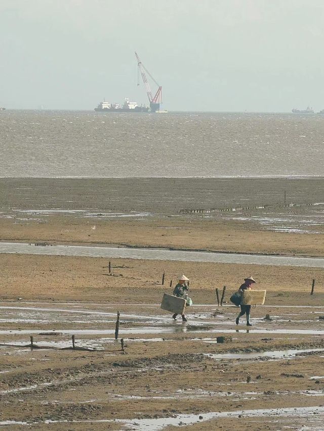 風與自由｜藏在廈門翔安的寶藏小眾海灘