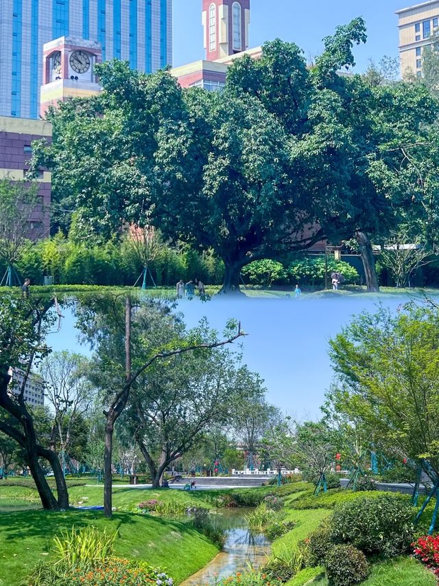 成都“莫奈花園”