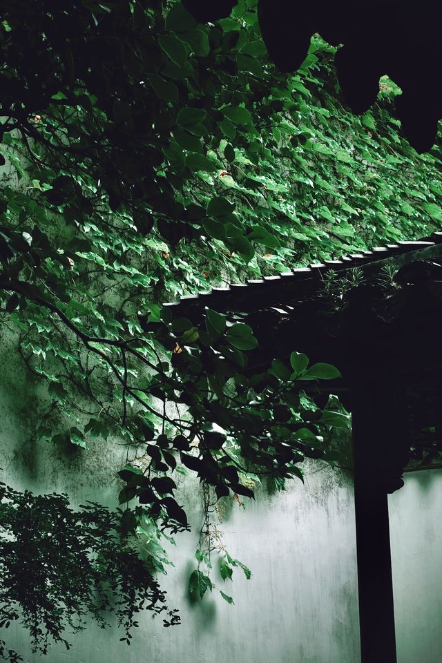 樂遊蘇州留園漫步記