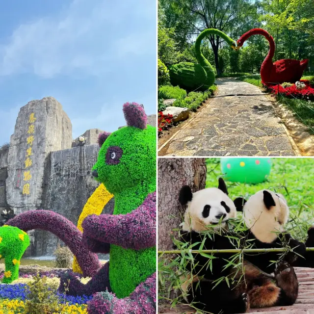 去秦嶺野生動物園這一篇就夠了全攻略