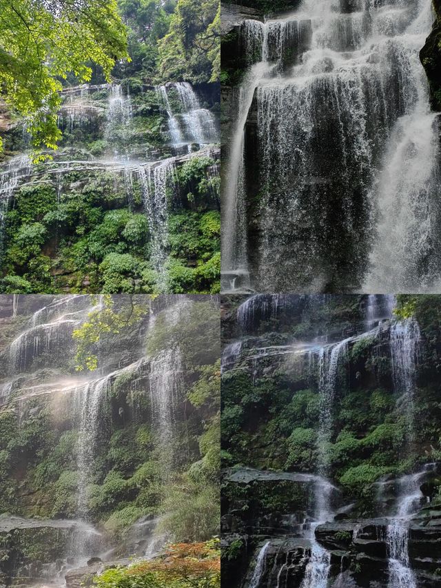 成都天台山清涼避暑攻略，有最大的螢火蟲哦