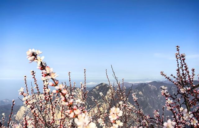 奇險天下第一山—西岳華山