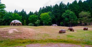 Kunimi no Mori Park: A Natural and Tranquil Wonderland