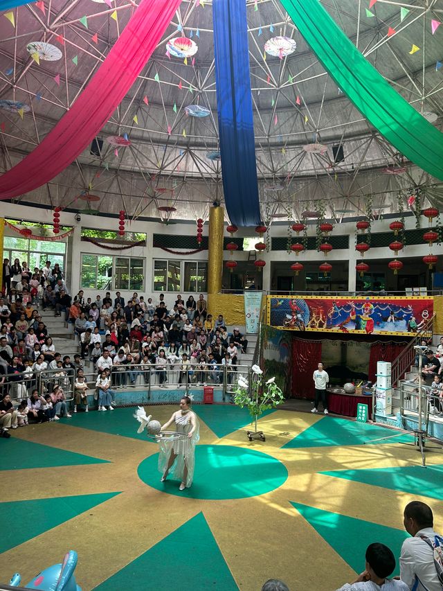 杭州citywalk虎跑公園，動物園，兒童樂園