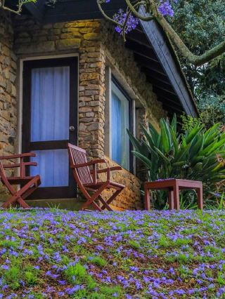 🌟 Kenya's Hidden Gem: Aberdare Country Club 🦒🏞️