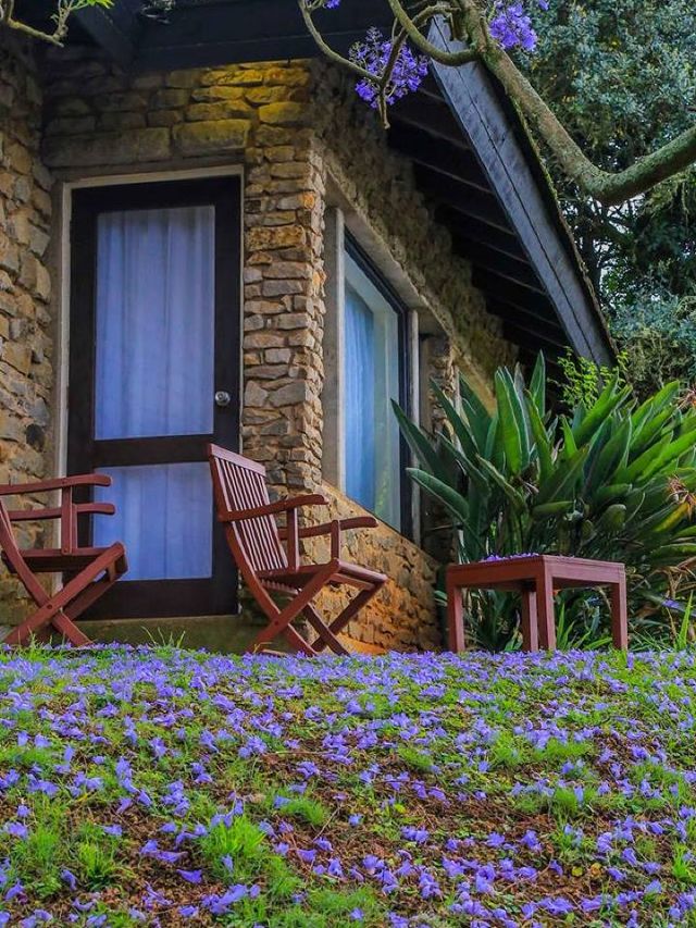 🌟 Kenya's Hidden Gem: Aberdare Country Club 🦒🏞️