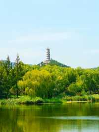 北坞公園