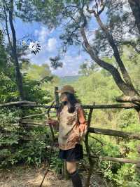 深圳梅林山郊野徑3小時徒步攻略