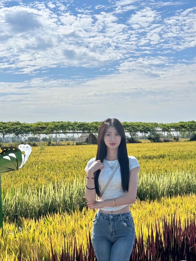 沈陽的稻夢空間。