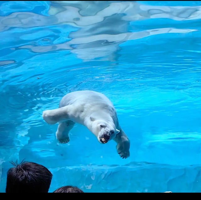 Aquarium in Zhuhai China