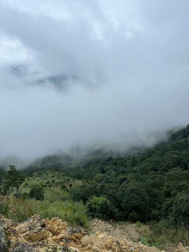 惠州大南山 惠州大南山
