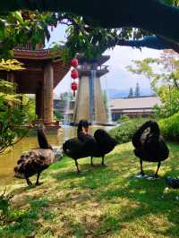 國慶親子旅遊推薦｜太白山唐鎮讓每個瞬間都充滿樂趣。