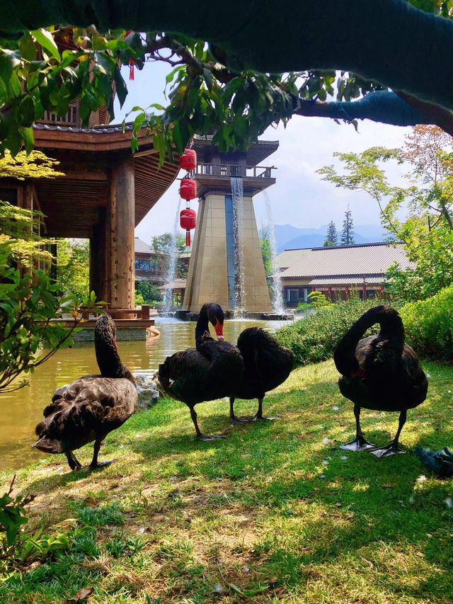 國慶親子旅遊推薦｜太白山唐鎮讓每個瞬間都充滿樂趣。