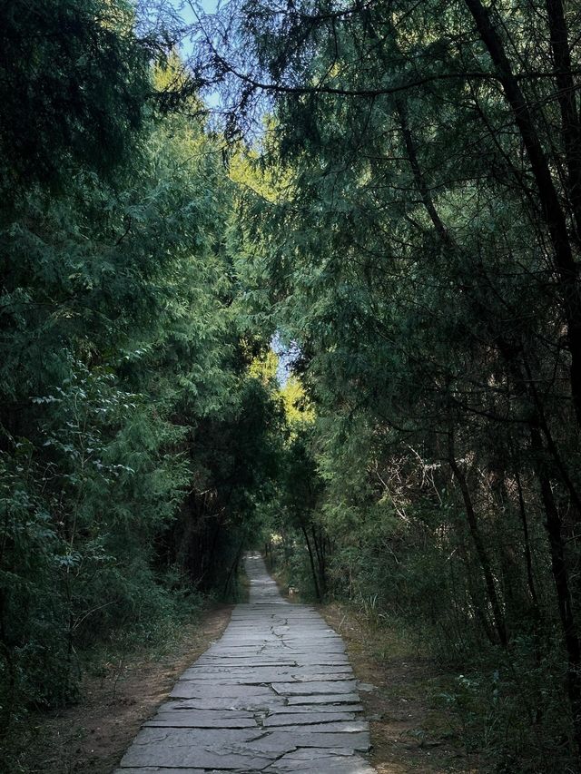 廣元劍閣翠雲廊｜揭秘古蜀道的神秘力量。