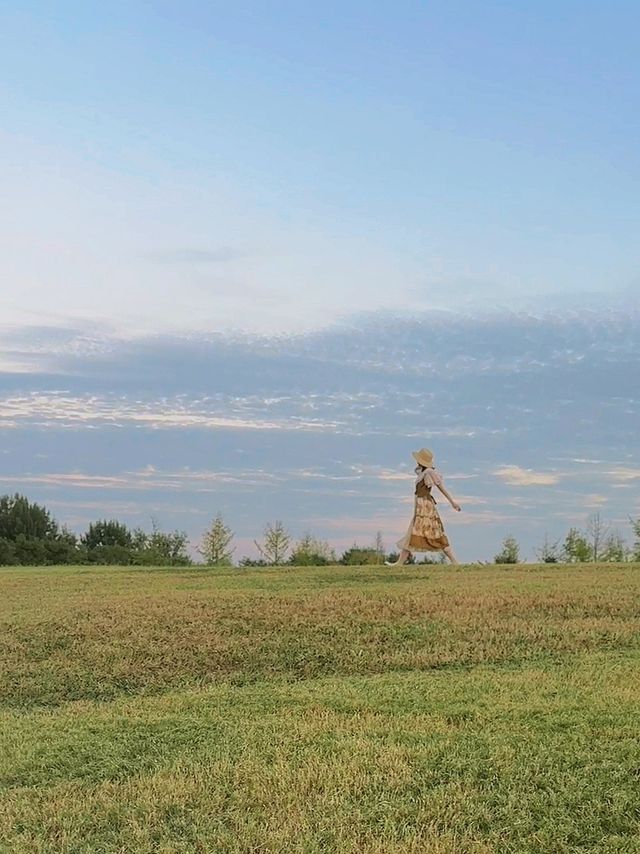 9月21日實拍西安誰還沒去這個公園看粉黛花海！。