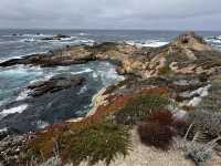 Point Lobos 州保護區。