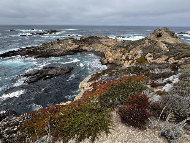 Point Lobos 州保護區。