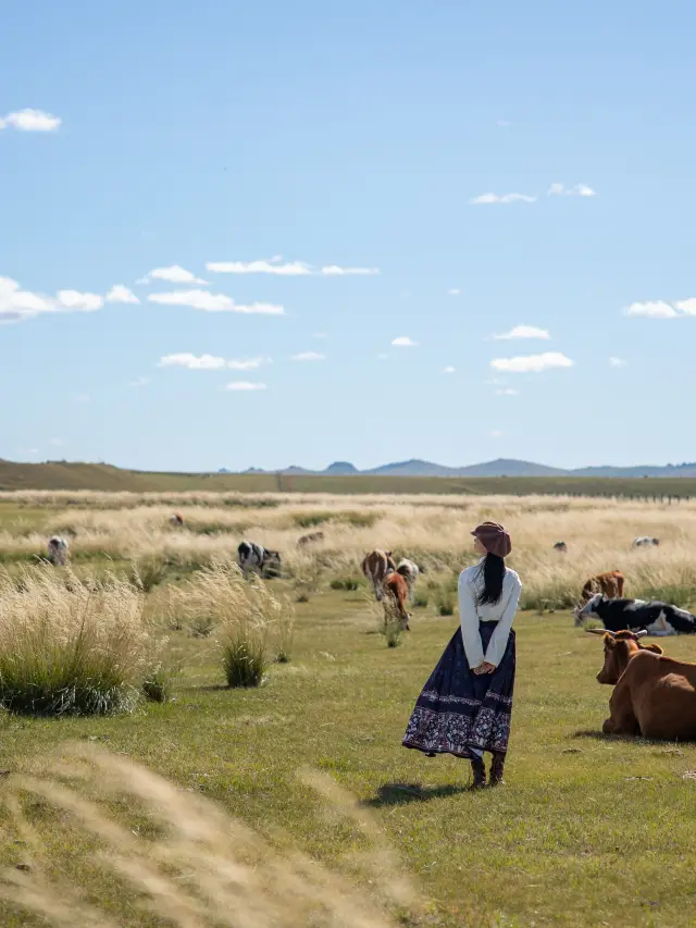 แบ่งปันเส้นทางขับรถเที่ยวมองโกเลียใน 8 วัน 7 คืน