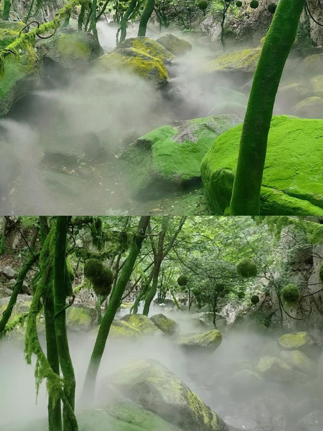 出去玩的姊妹注意啦，小心穿進童話世界。