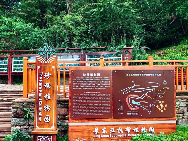 哀牢山谷‧無量景東！。