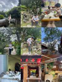 思茅老街戴家巷古建築群。