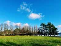 湖光山色伯利·格里芬湖｜探索澳洲首都的自然美景。
