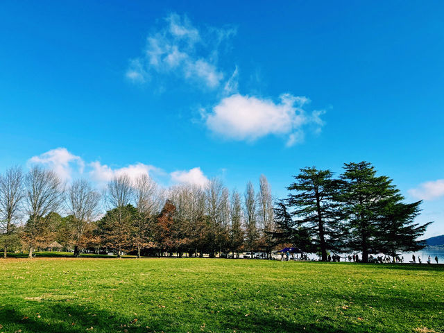 湖光山色伯利·格里芬湖｜探索澳洲首都的自然美景。