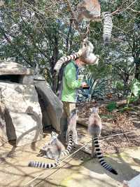 帶孩子來神戶一定要去這家動物王國！附攻略。
