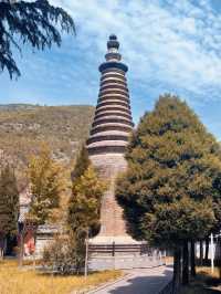 全國唯一木骨泥胎角神青蓮寺。