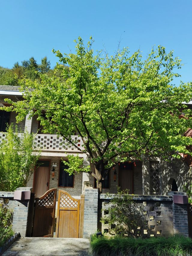 大別山的悠閒玩法。