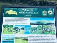 阿魯沙國家公園，梅魯火山下的火烈鳥天堂。