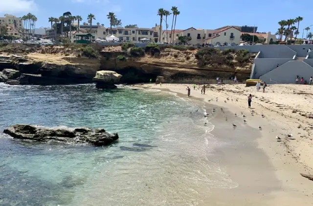 La Jolla Bay Travel Notes: A Hidden Gem on the California Coastline
