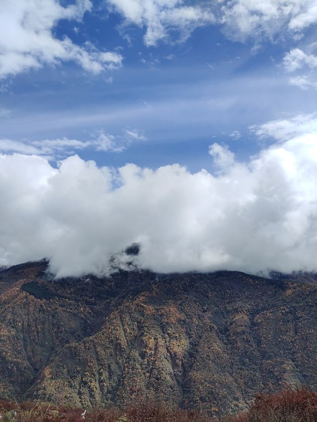 千人奔赴～臥龍川北營參加徒步登山節。