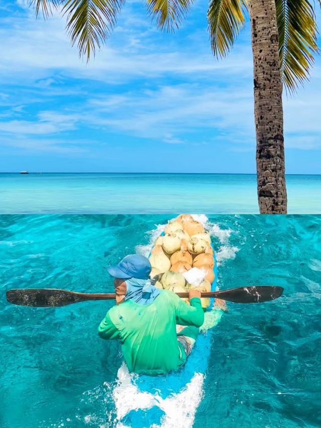 菲律賓：島嶼天堂的秘密探索 。