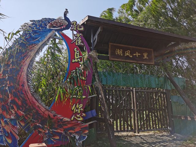 焦崗湖小記。