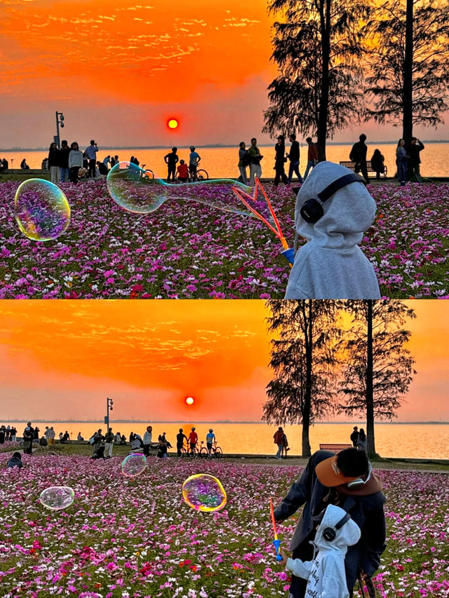 答應我！一定要去上海後花園阿勒泰！附路線哦！。