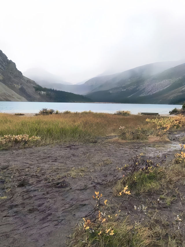 加拿大自然奇觀：Jasper National Park探秘指南