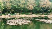 身邊的寶藏公園。