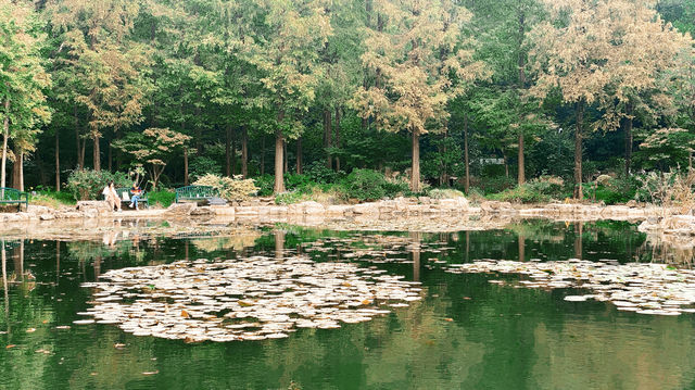 身邊的寶藏公園。