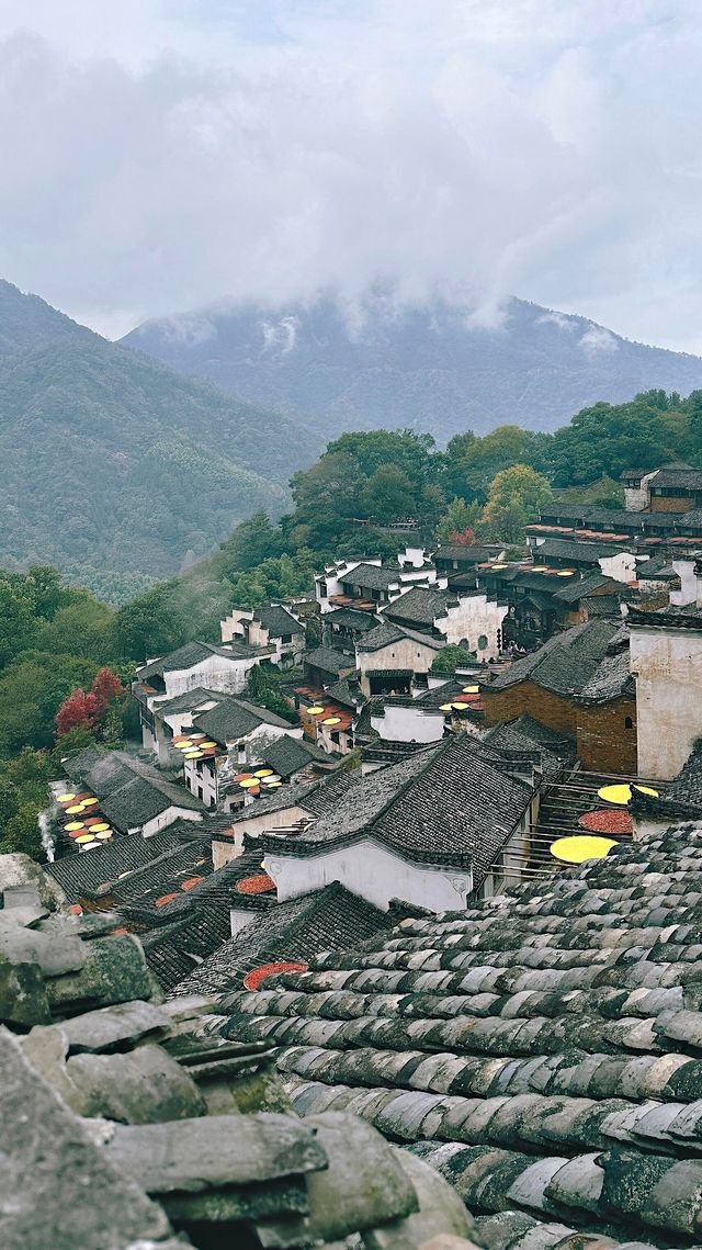婺源篁嶺晒秋，秋日必遊之地。