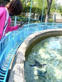日本°東京ㅣ親子免費近郊好去處ㅣ江戶川區自然動物園。