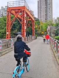 成都沙河公園 | 城市中的綠野仙蹤。