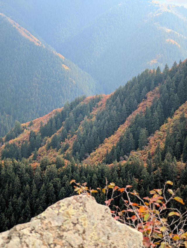 隴右名山蘭州興隆山 | 邂逅醉美秋色。