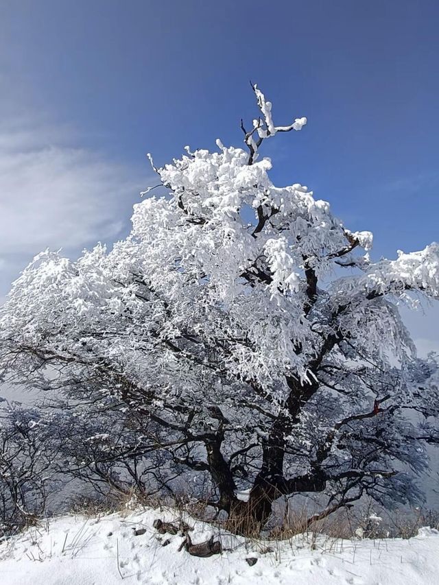 征服風雨山感受冰雪的詩意徒步