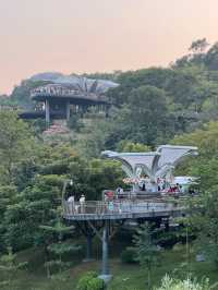 廣州白雲｜雲蘿植物園