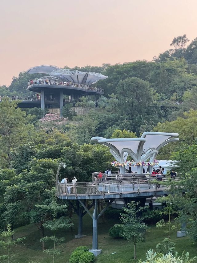 廣州白雲｜雲蘿植物園