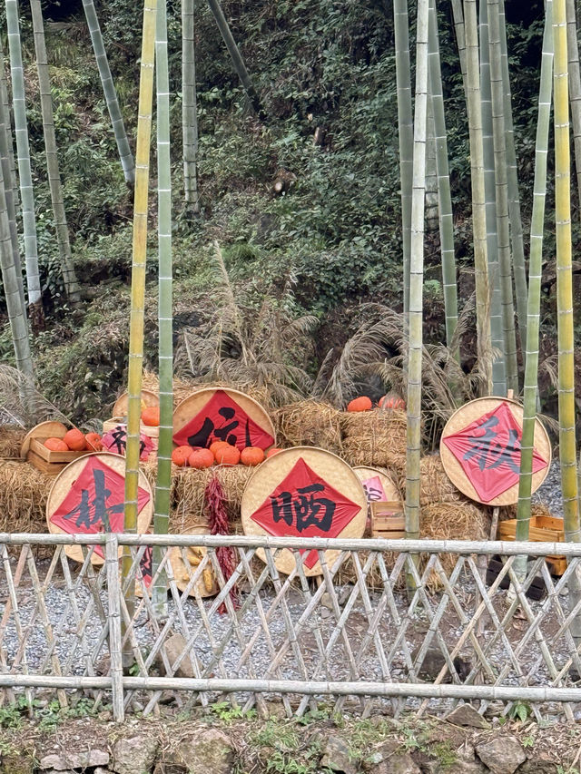 溫州「小婺源」，人生建議看一次曬秋吧